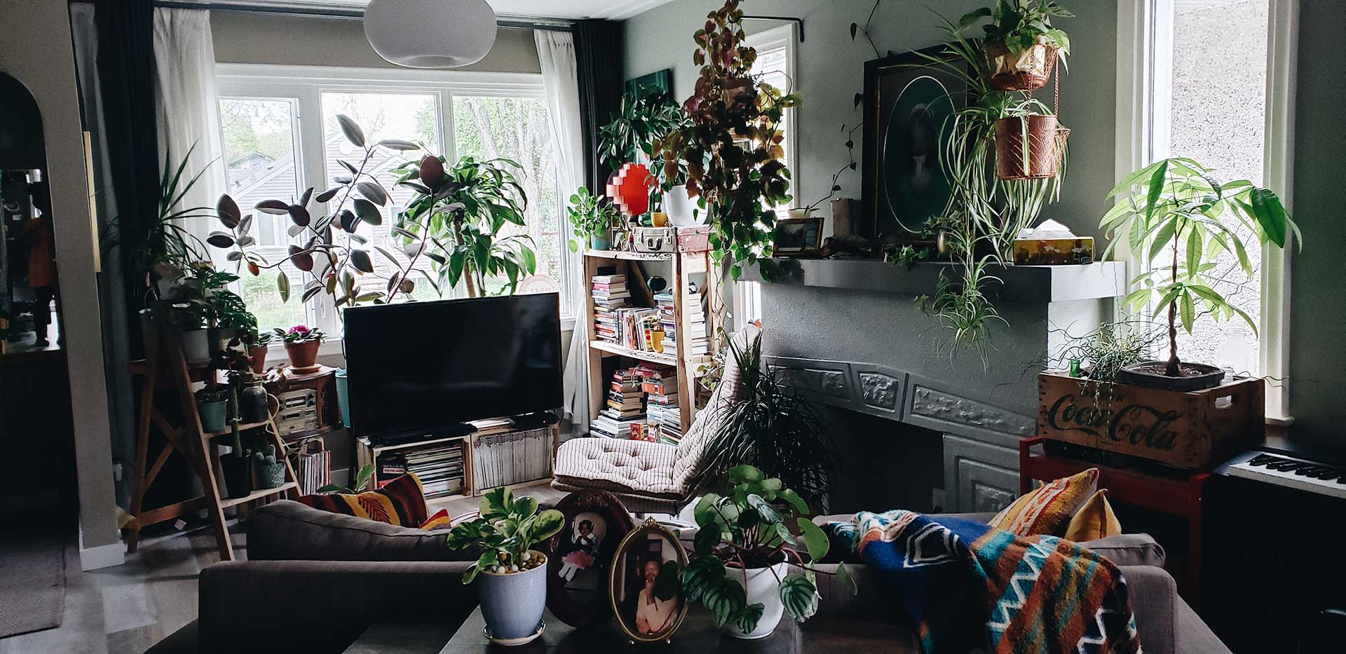 Living full of green plants.