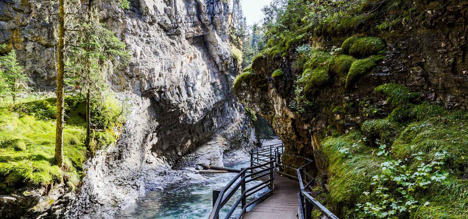 Our favourite hiking trails in Alberta - part two | Alberta Blue Cross®